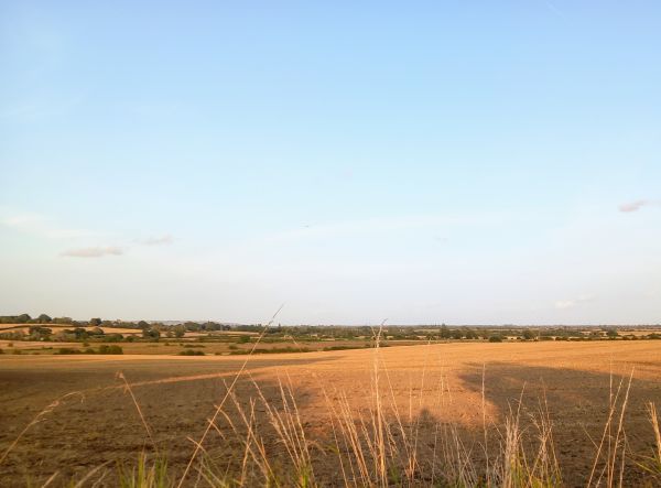 Appledore walk